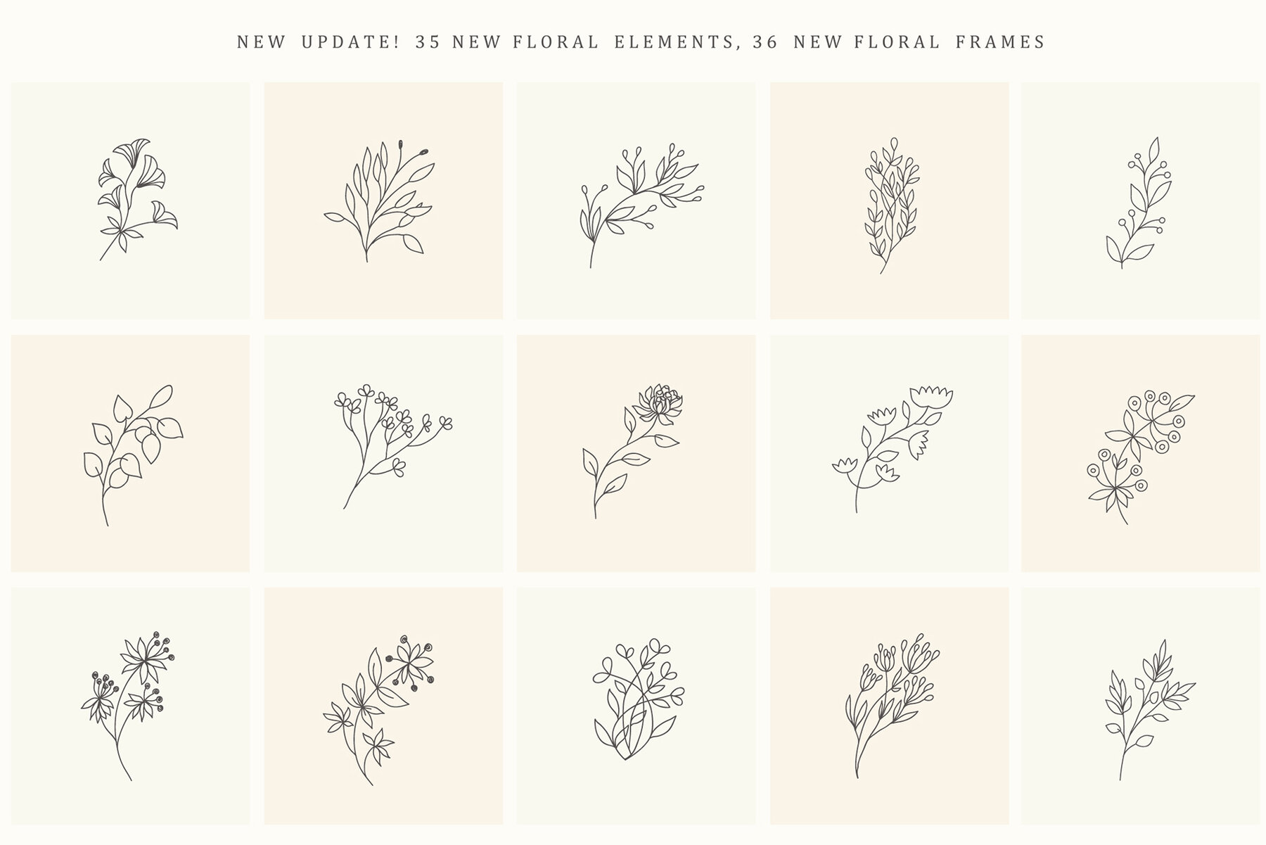 Hand Drawn Floral Elements Frames 16
