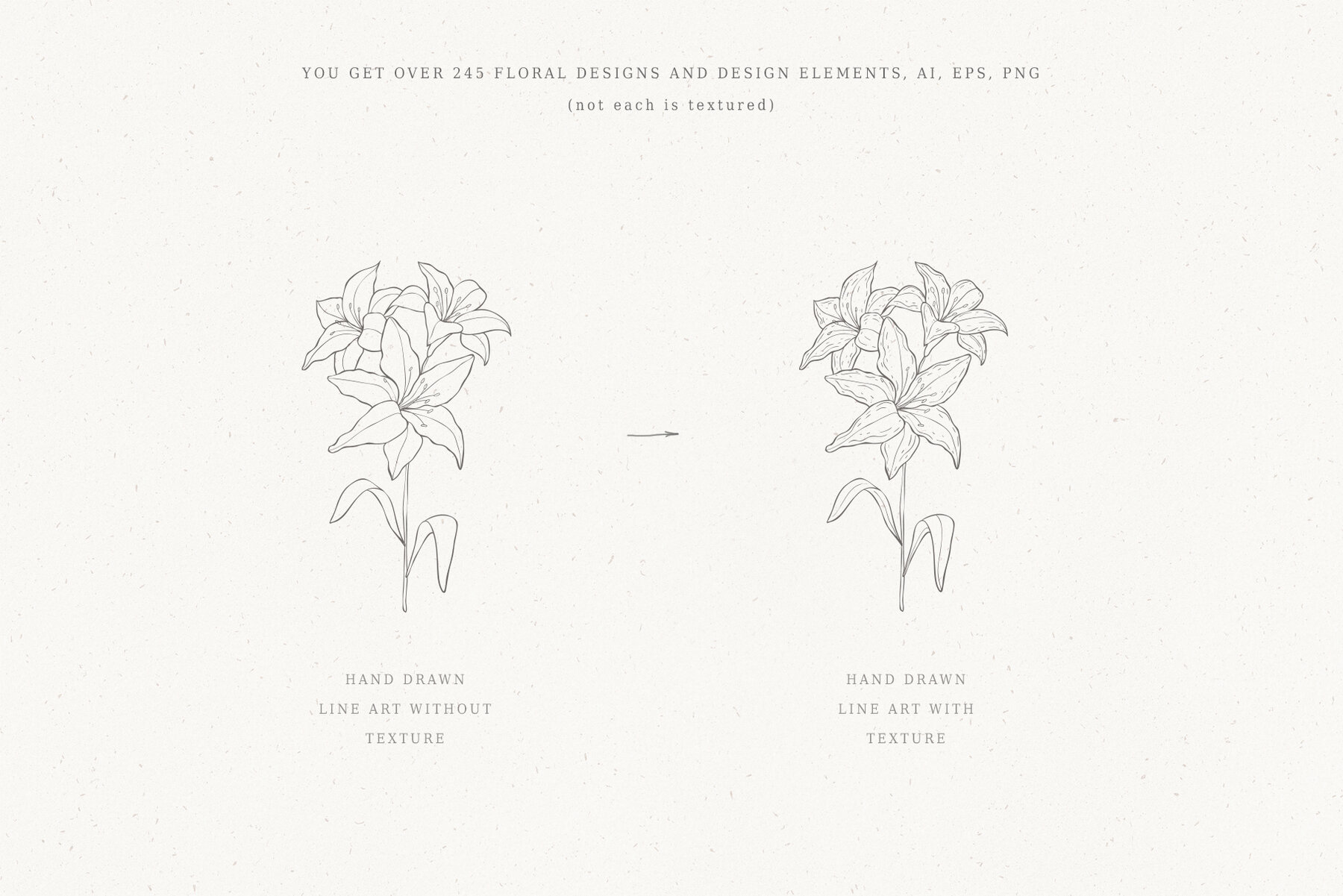 Botanical Hand Drawn Designs Logos 10