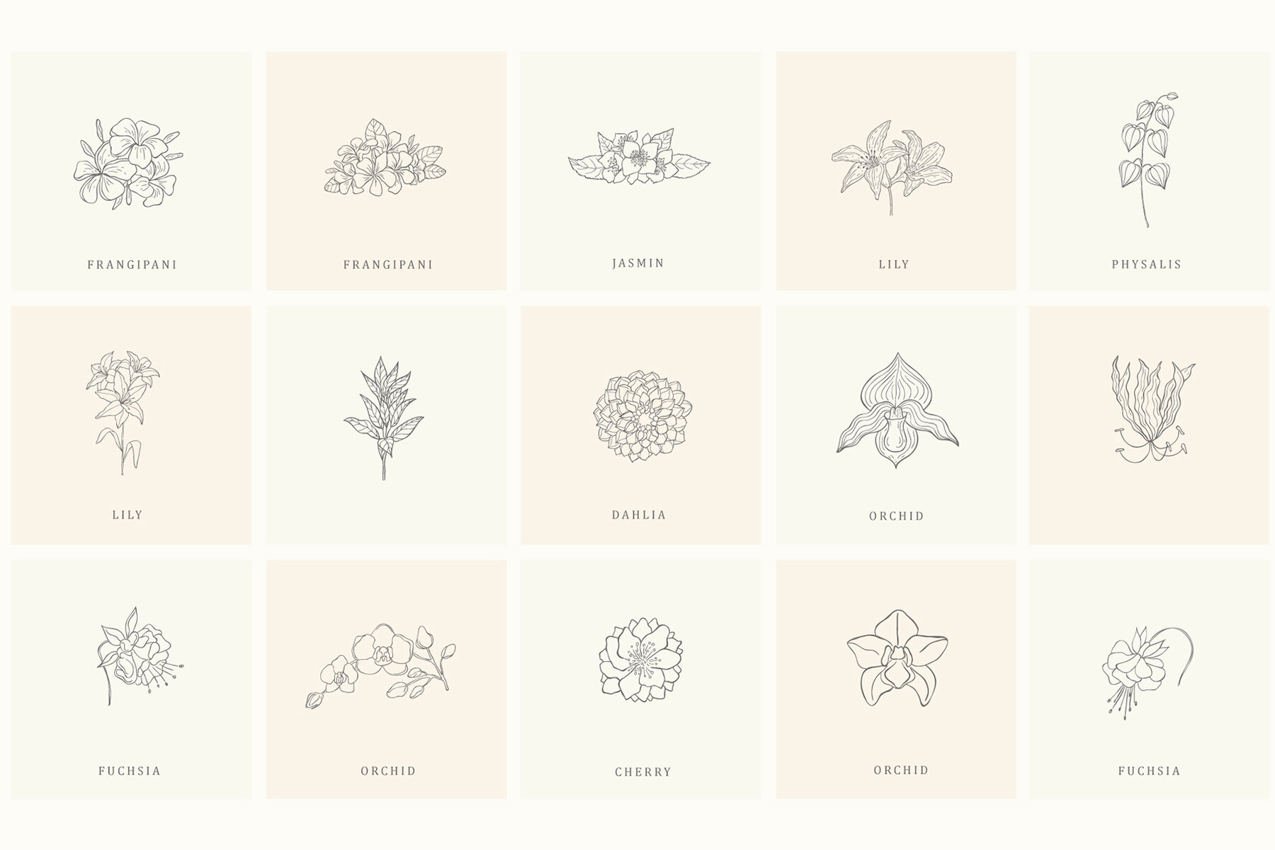 Botanical Hand Drawn Designs Logos 11