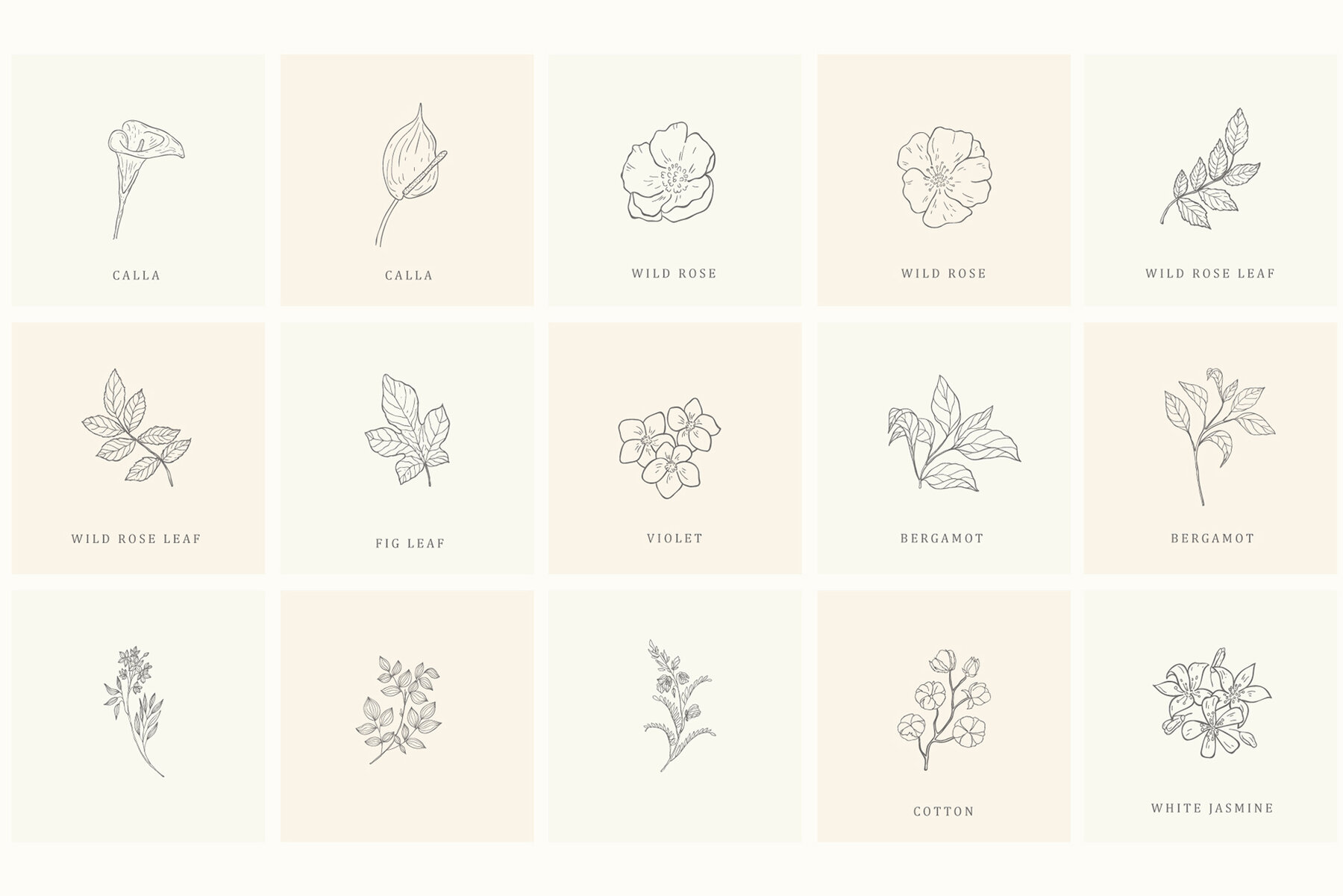 Botanical Hand Drawn Designs Logos 12