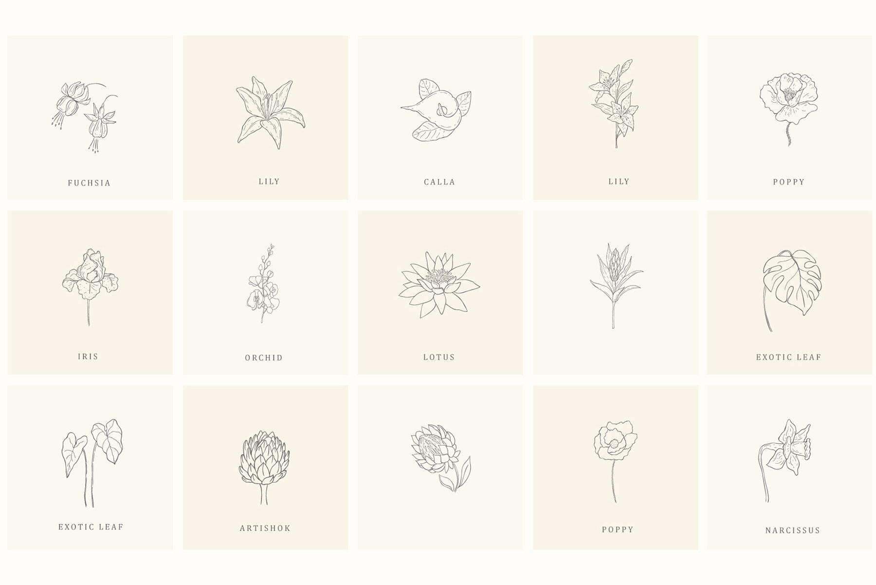 Botanical Hand Drawn Designs Logos 13