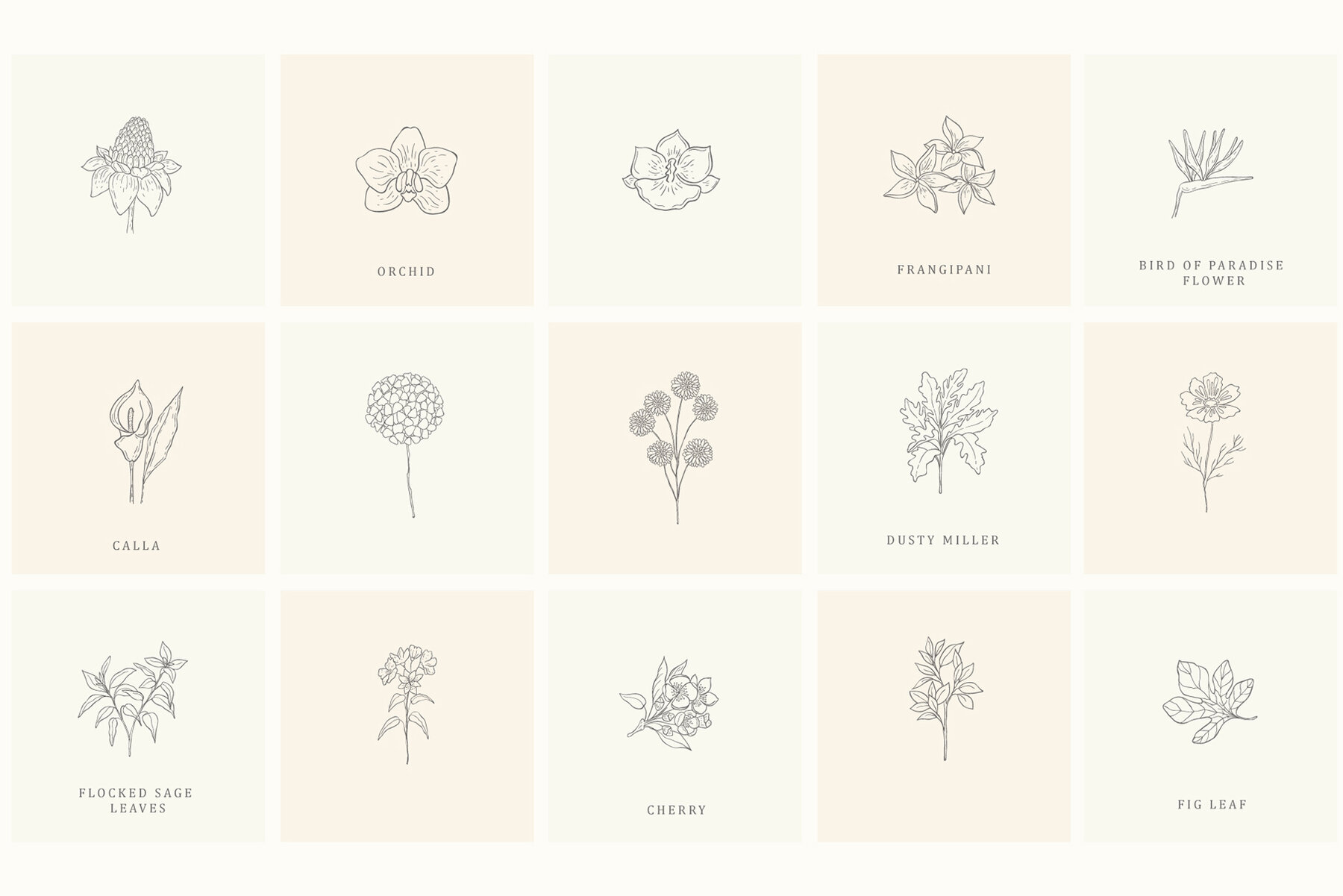 Botanical Hand Drawn Designs Logos 14