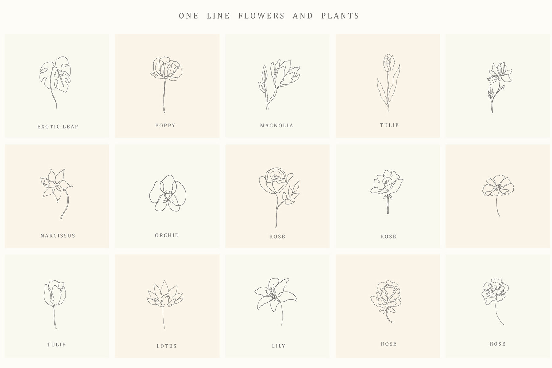 Botanical Hand Drawn Designs Logos 15