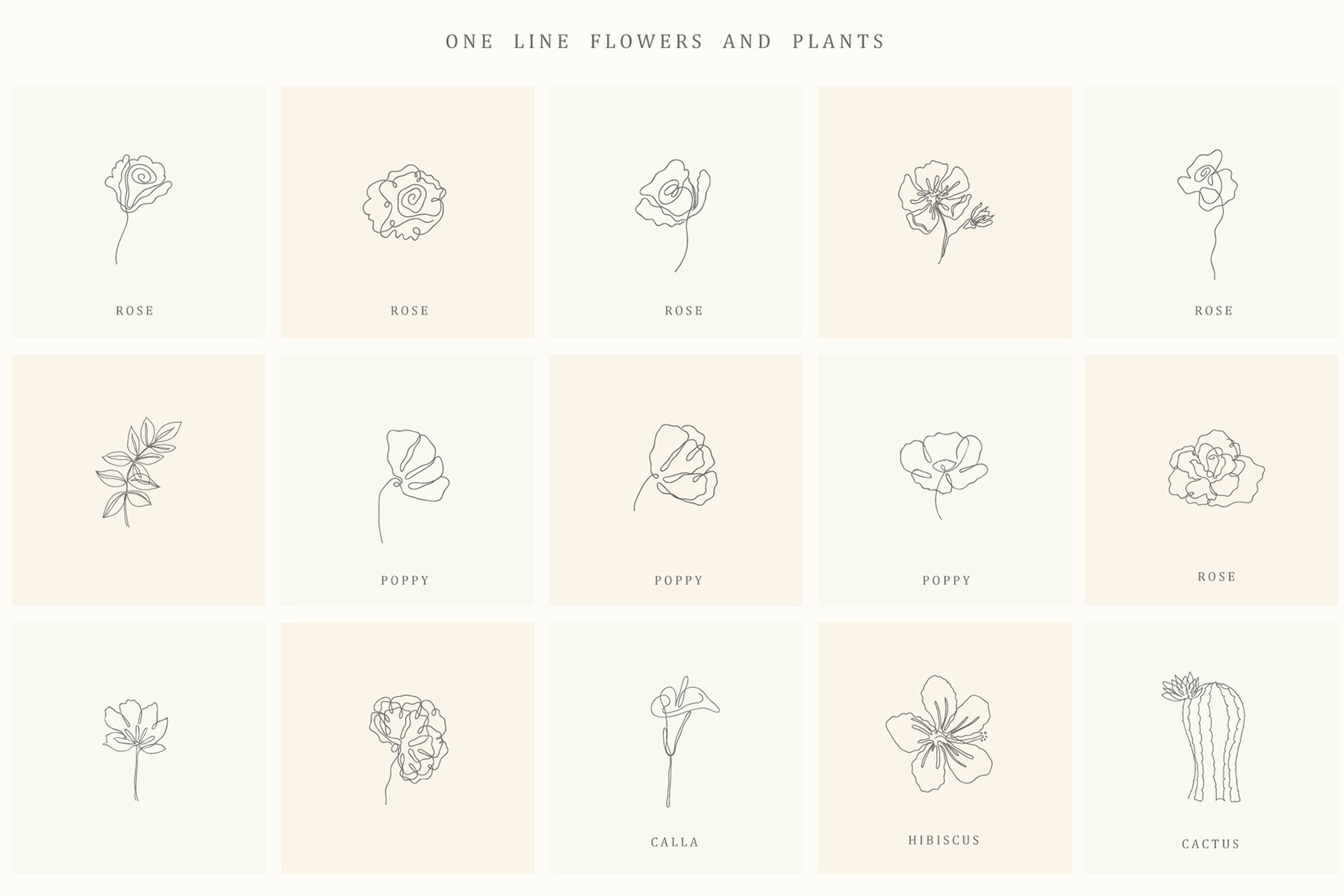 Botanical Hand Drawn Designs Logos 16