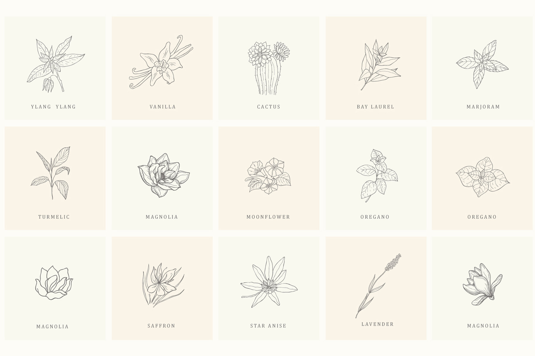 Botanical Hand Drawn Designs Logos 17