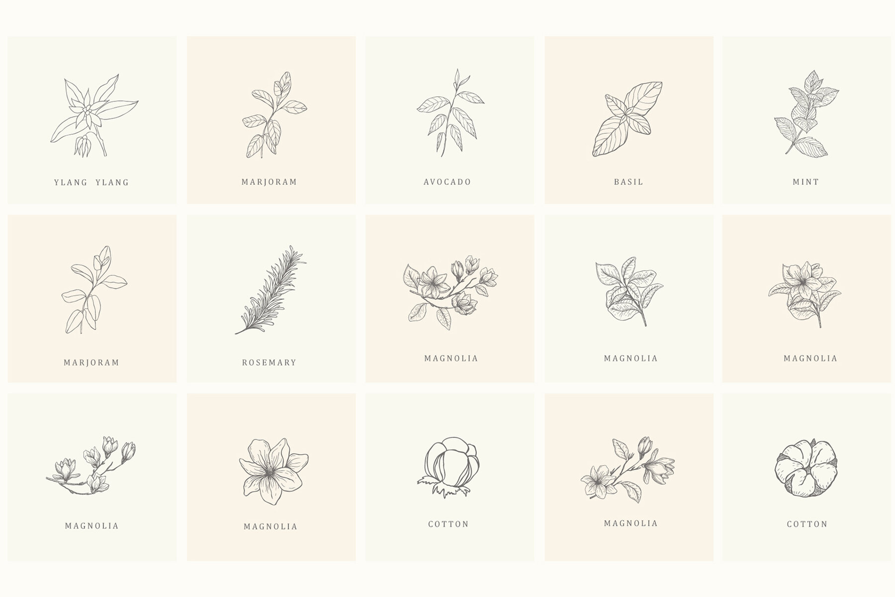 Botanical Hand Drawn Designs Logos 18