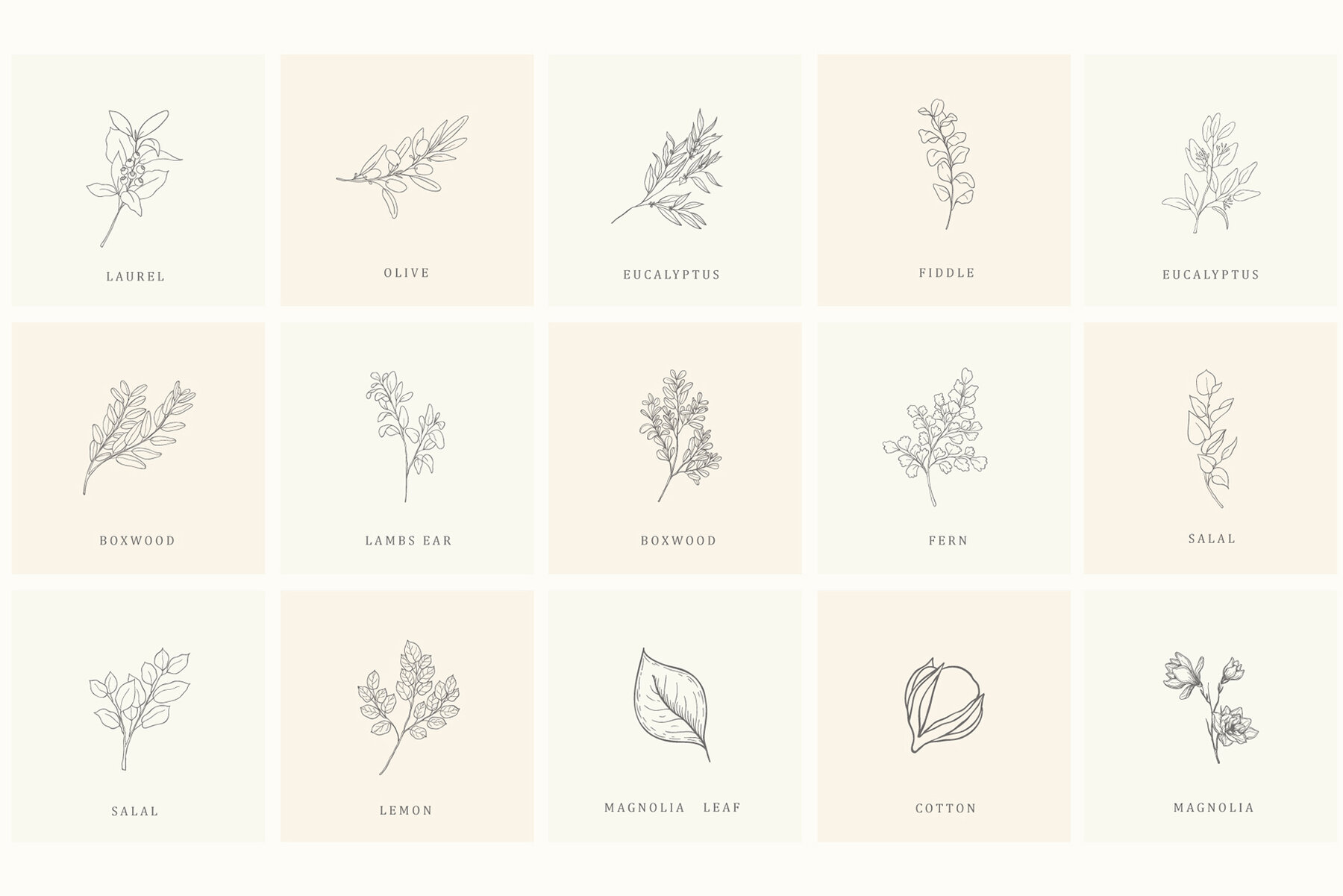 Botanical Hand Drawn Designs Logos 19