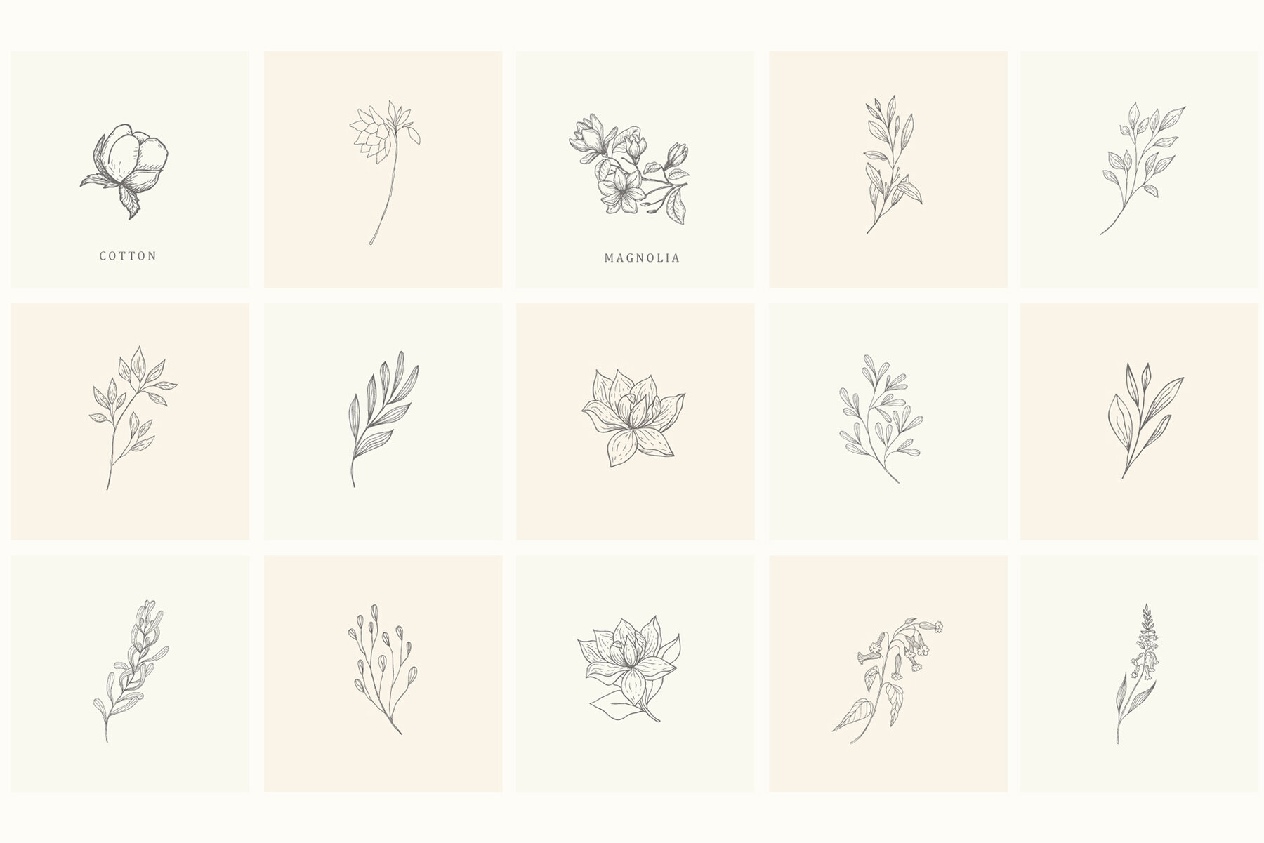 Botanical Hand Drawn Designs Logos 20