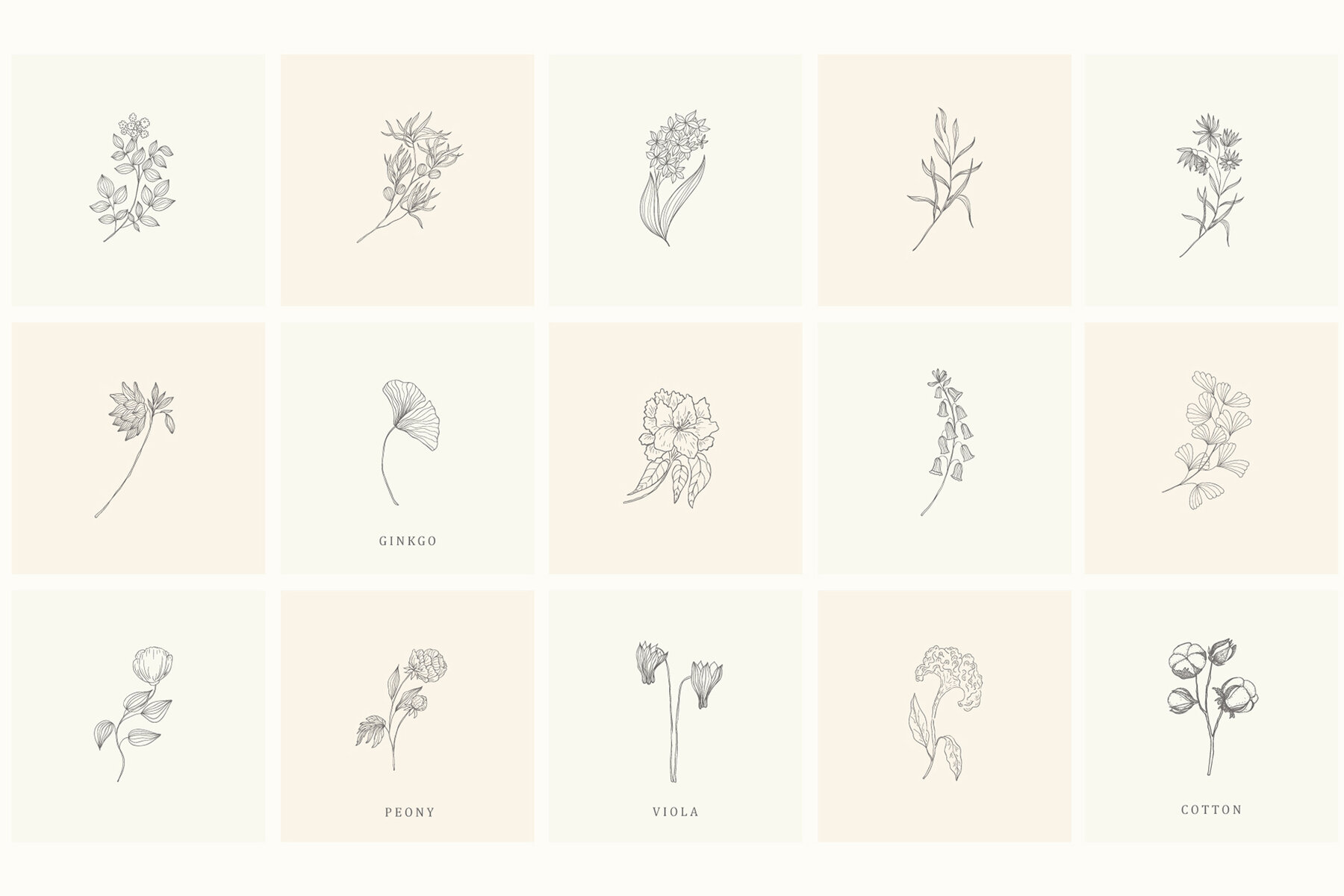 Botanical Hand Drawn Designs Logos 21