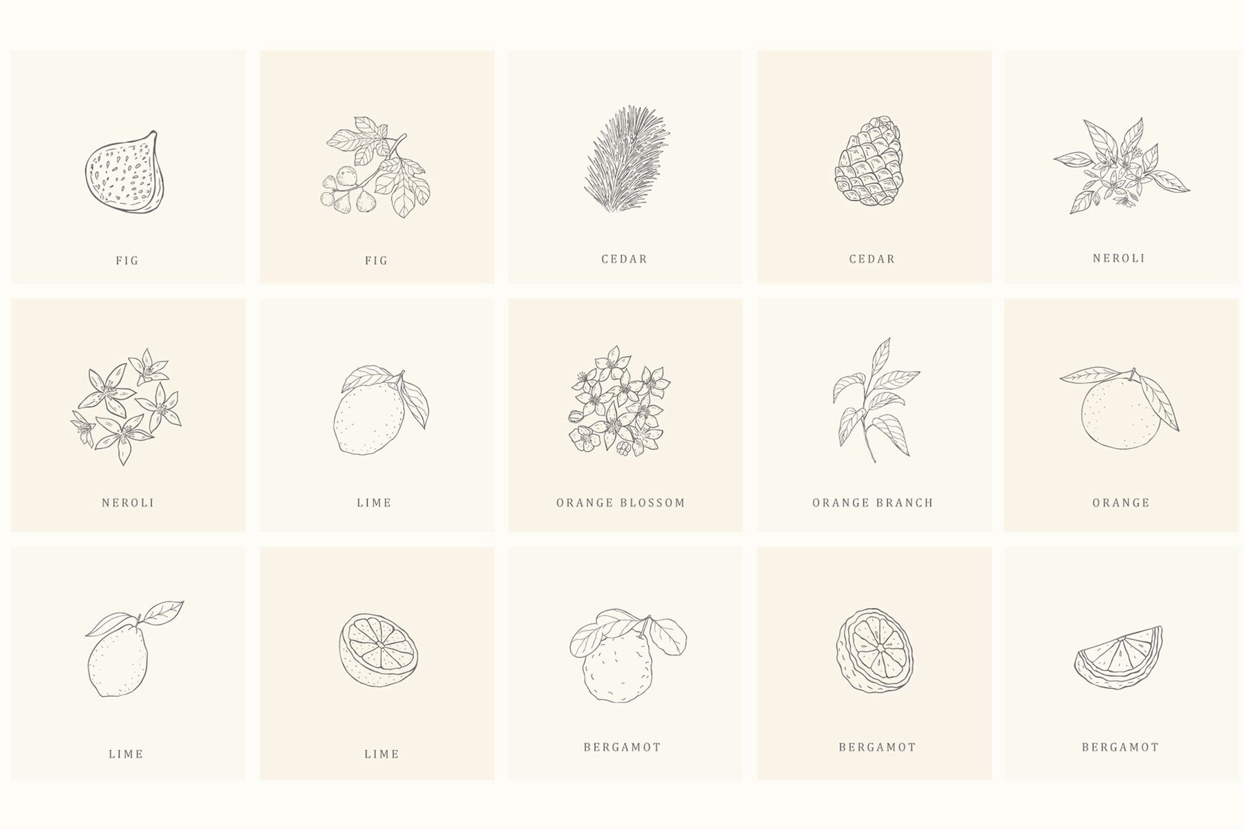 Botanical Hand Drawn Designs Logos 22