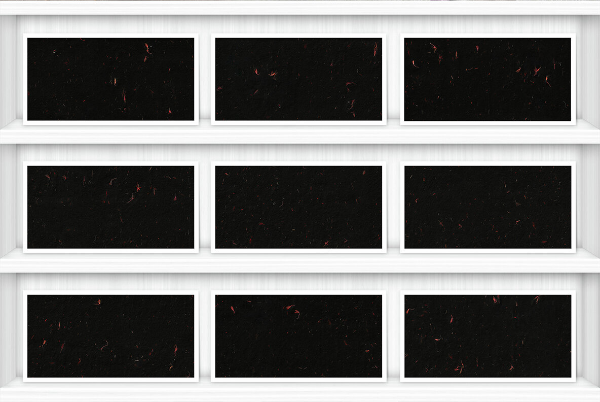 10 Red Flowers Black Paper Textures Backgrounds 9