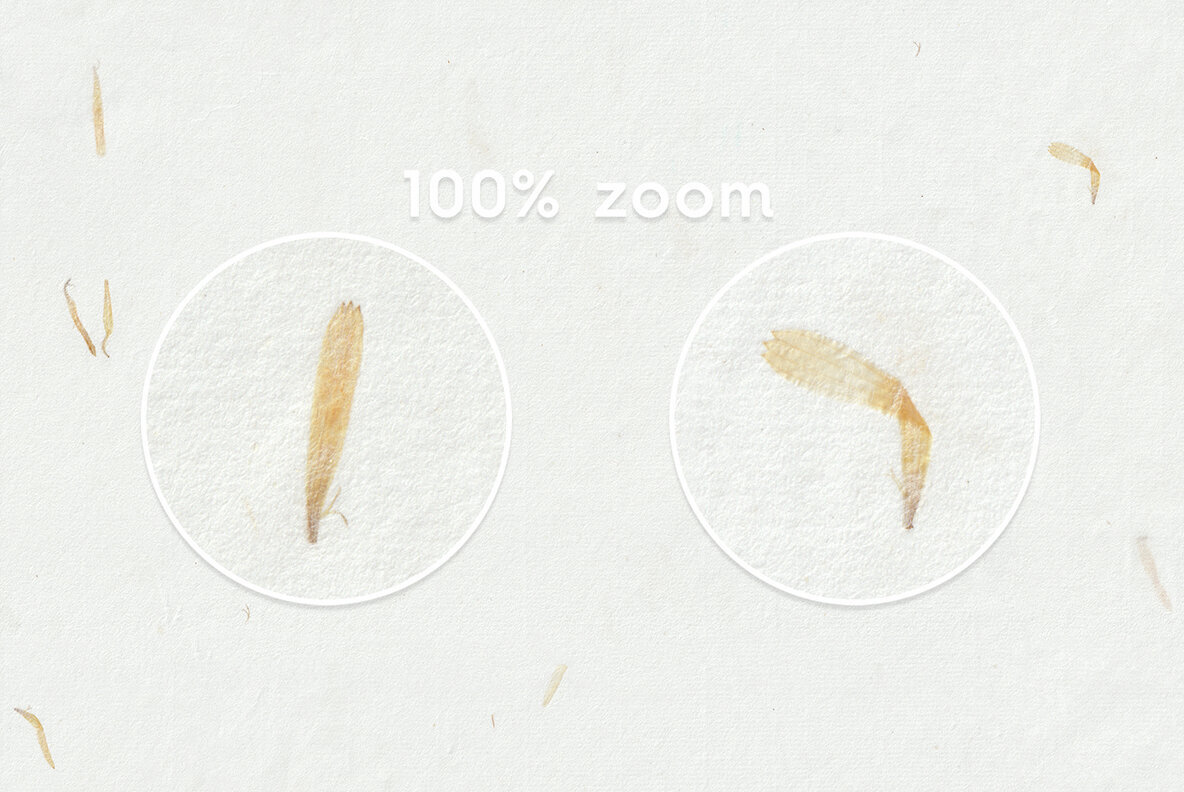 10 Yellow Petals Paper Textures 2