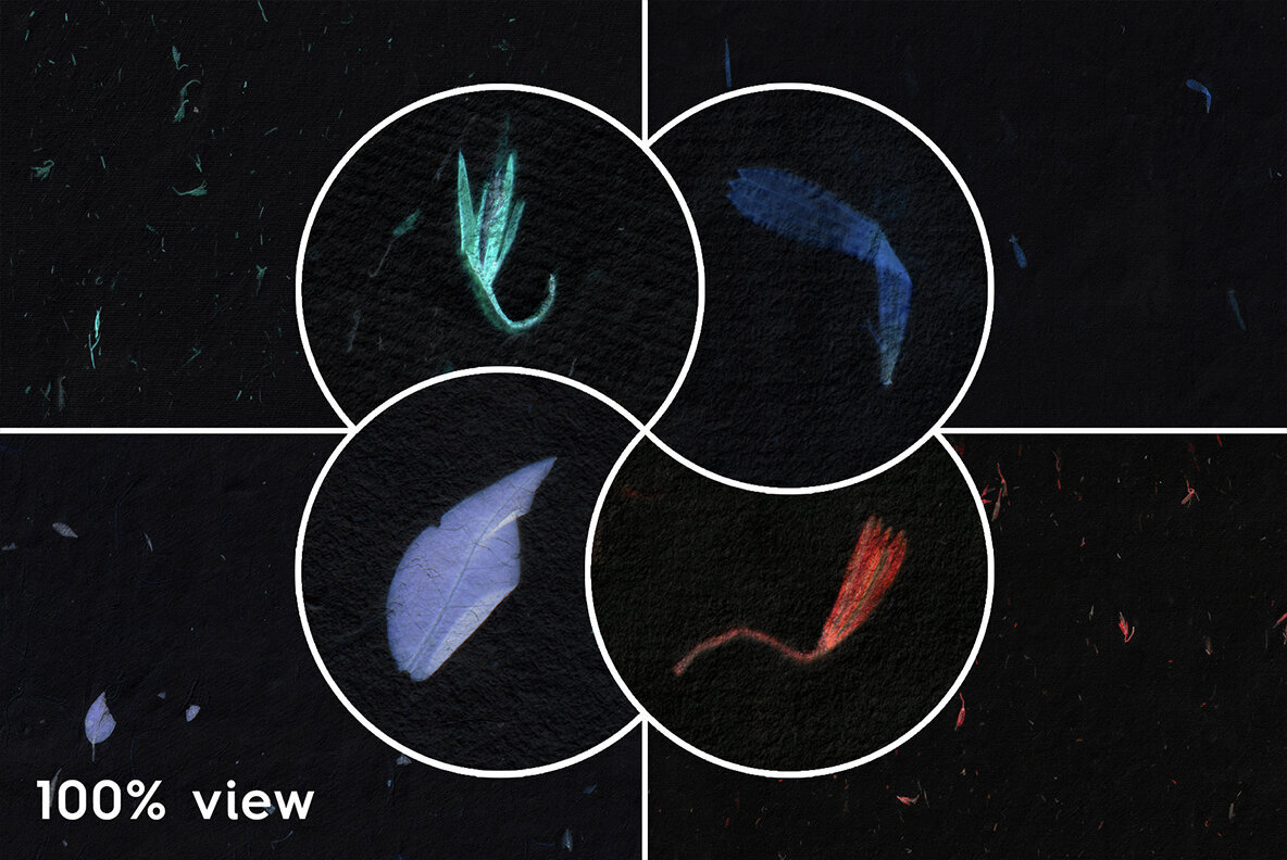 10 Floral Black Rice Paper Textures 2