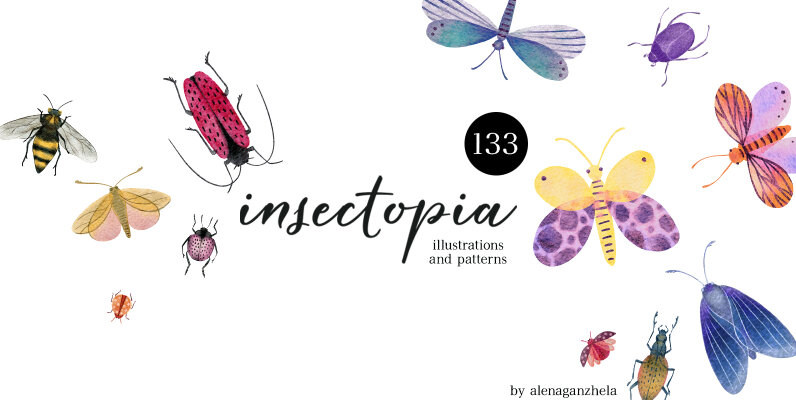 Insectopia Watercolor illustrations   Patterns