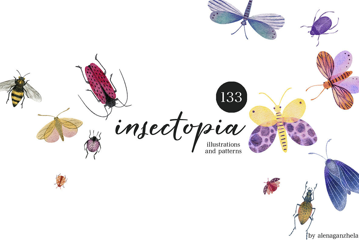 Insectopia Watercolor illustrations   Patterns 1