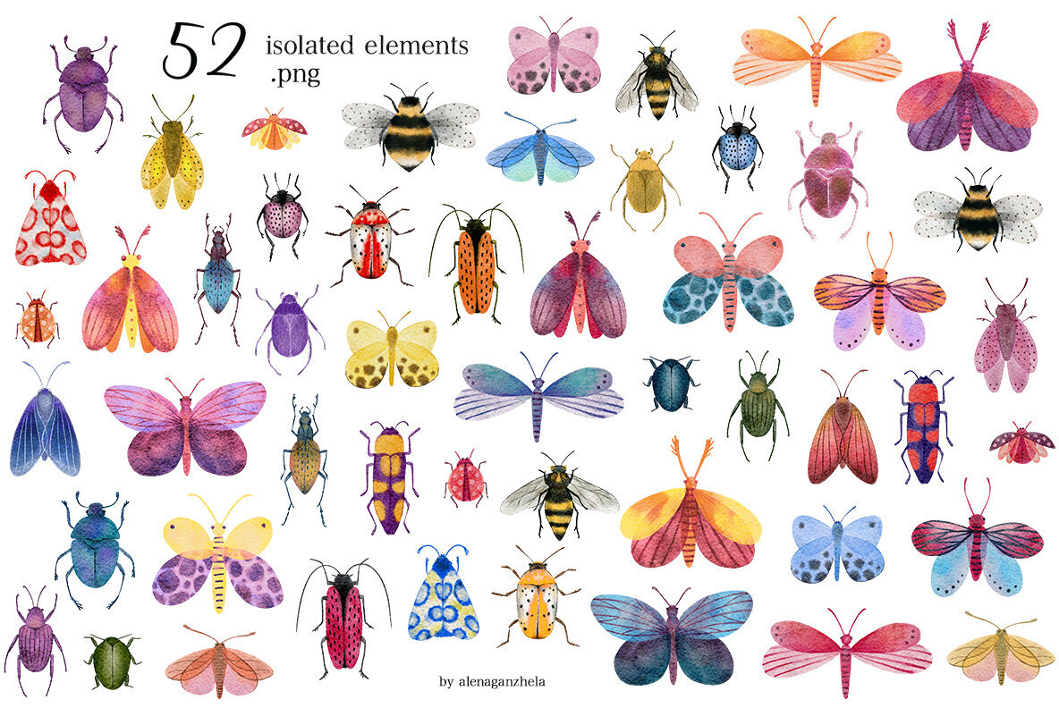 Insectopia Watercolor illustrations   Patterns 3
