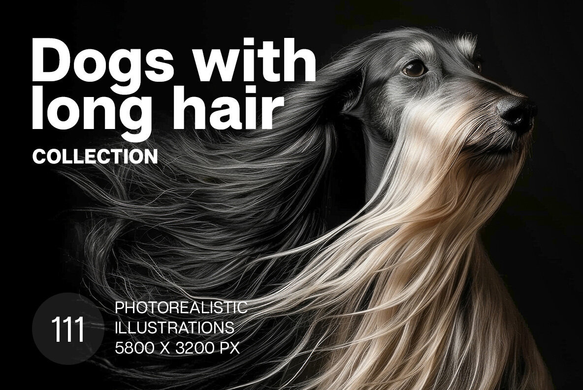 Dogs with long hair 1