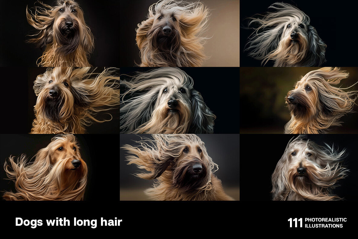Dogs with long hair 3