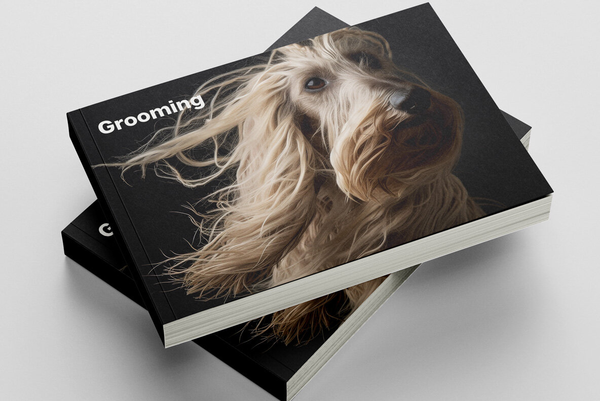 Dogs with long hair 14