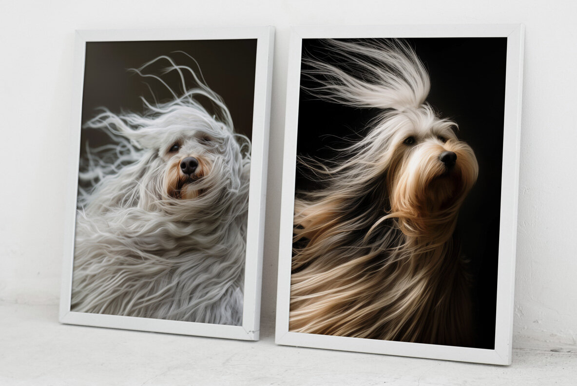 Dogs with long hair 15