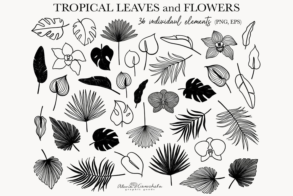 Nature of Feminine Female celestial florals line art 7