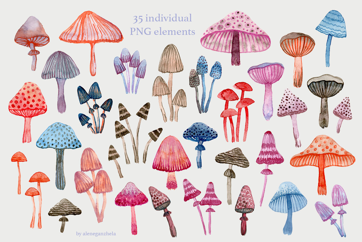 Wonderland Mushrooms 4
