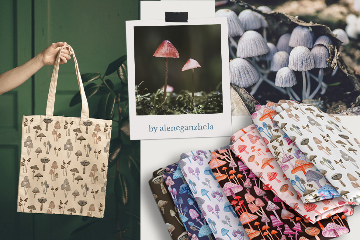 Wonderland Mushrooms 5