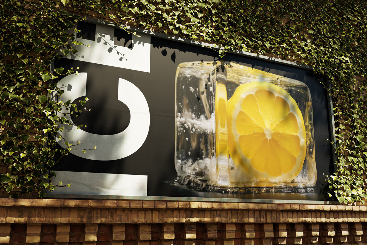 Fruits and berries in ice 12