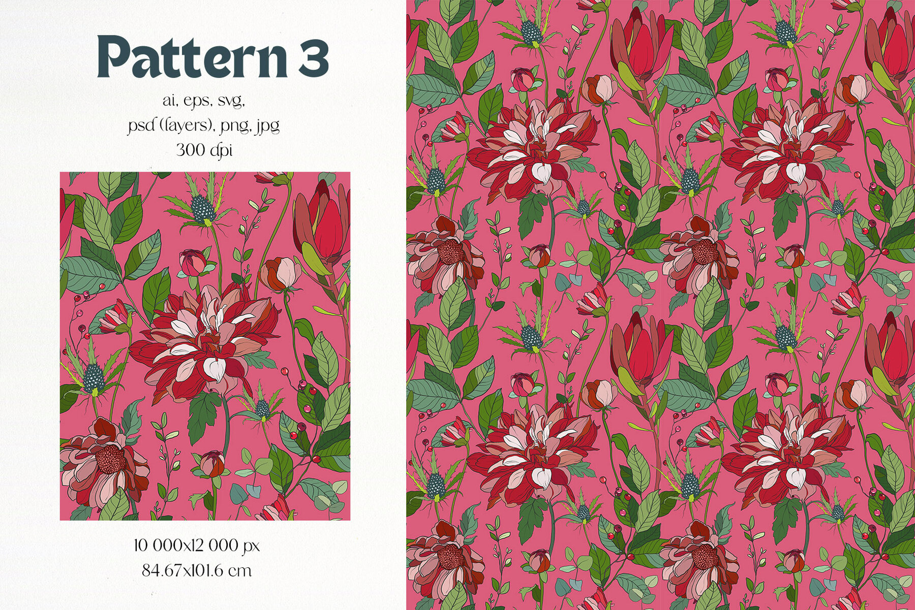 Casablanca Floral Modern Vector Flowers 12