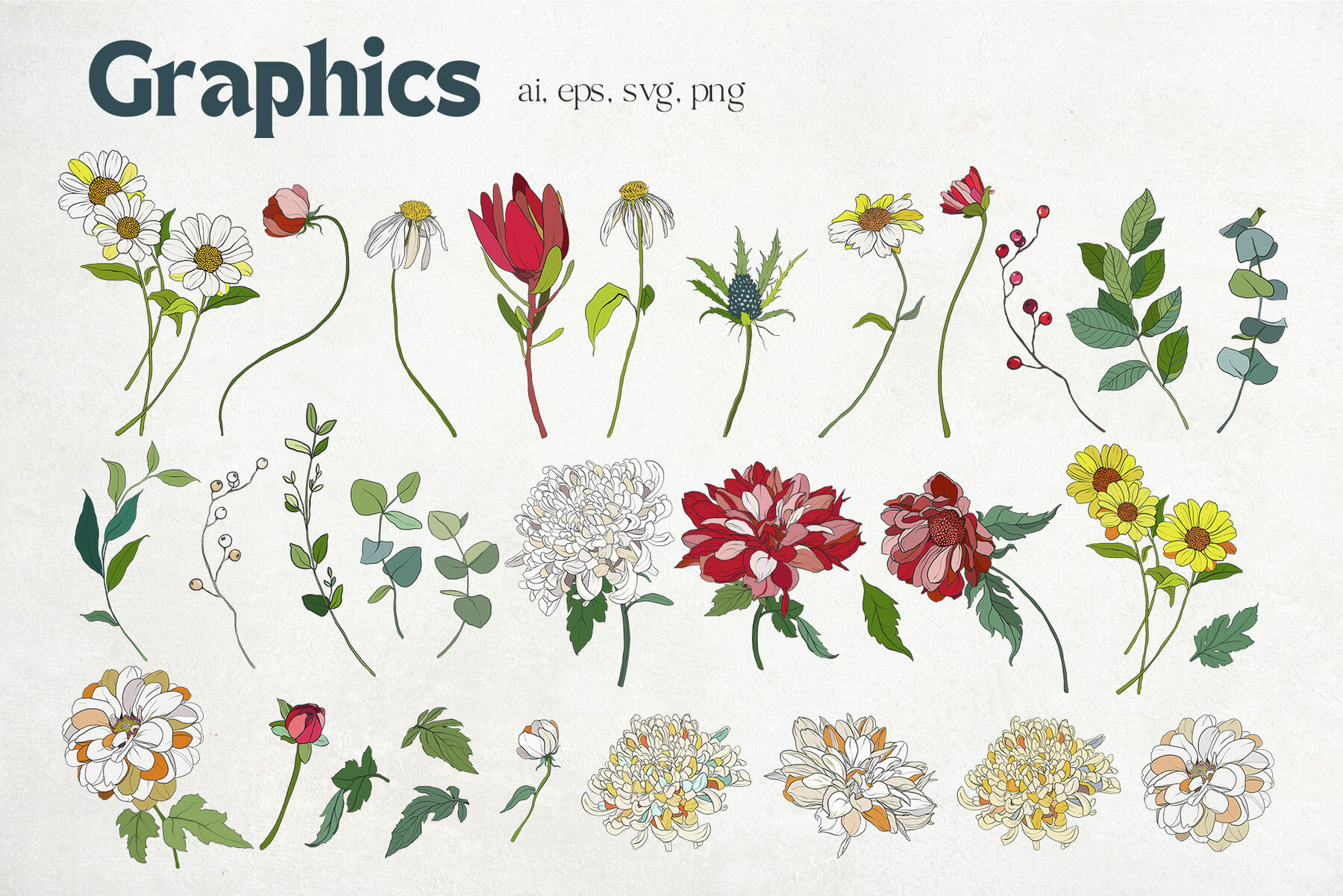 Casablanca Floral Modern Vector Flowers 14