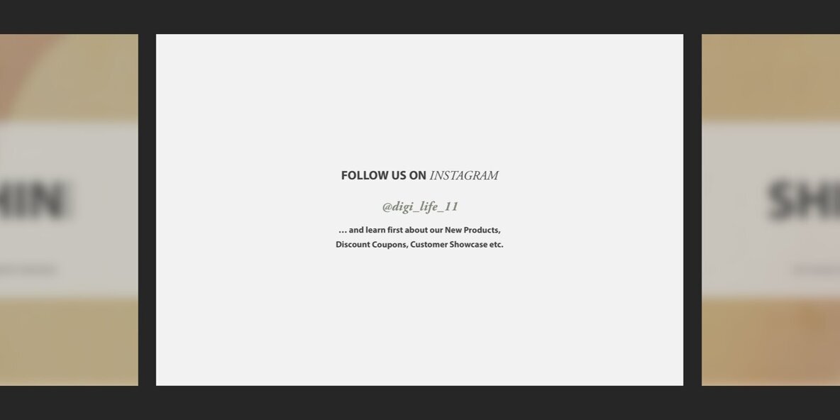 Shibata Zeshin Procreate Kit 3