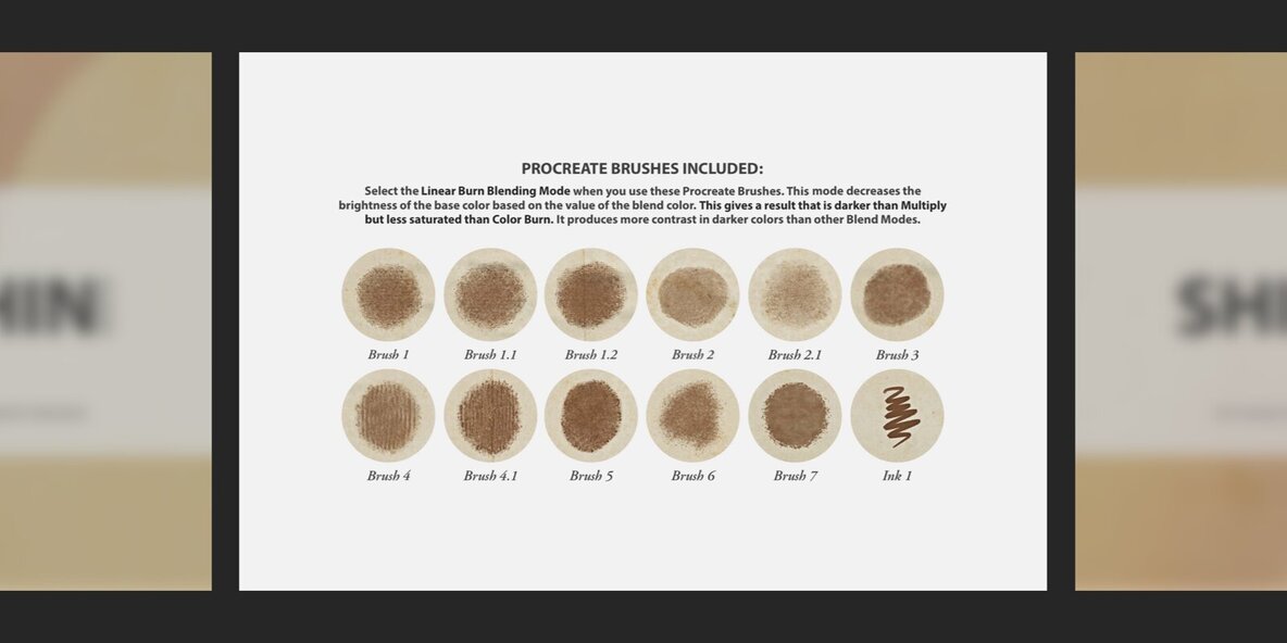 Shibata Zeshin Procreate Kit 6