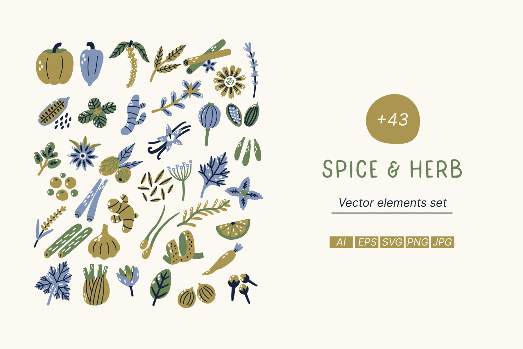 Spice and Herb vector set 1