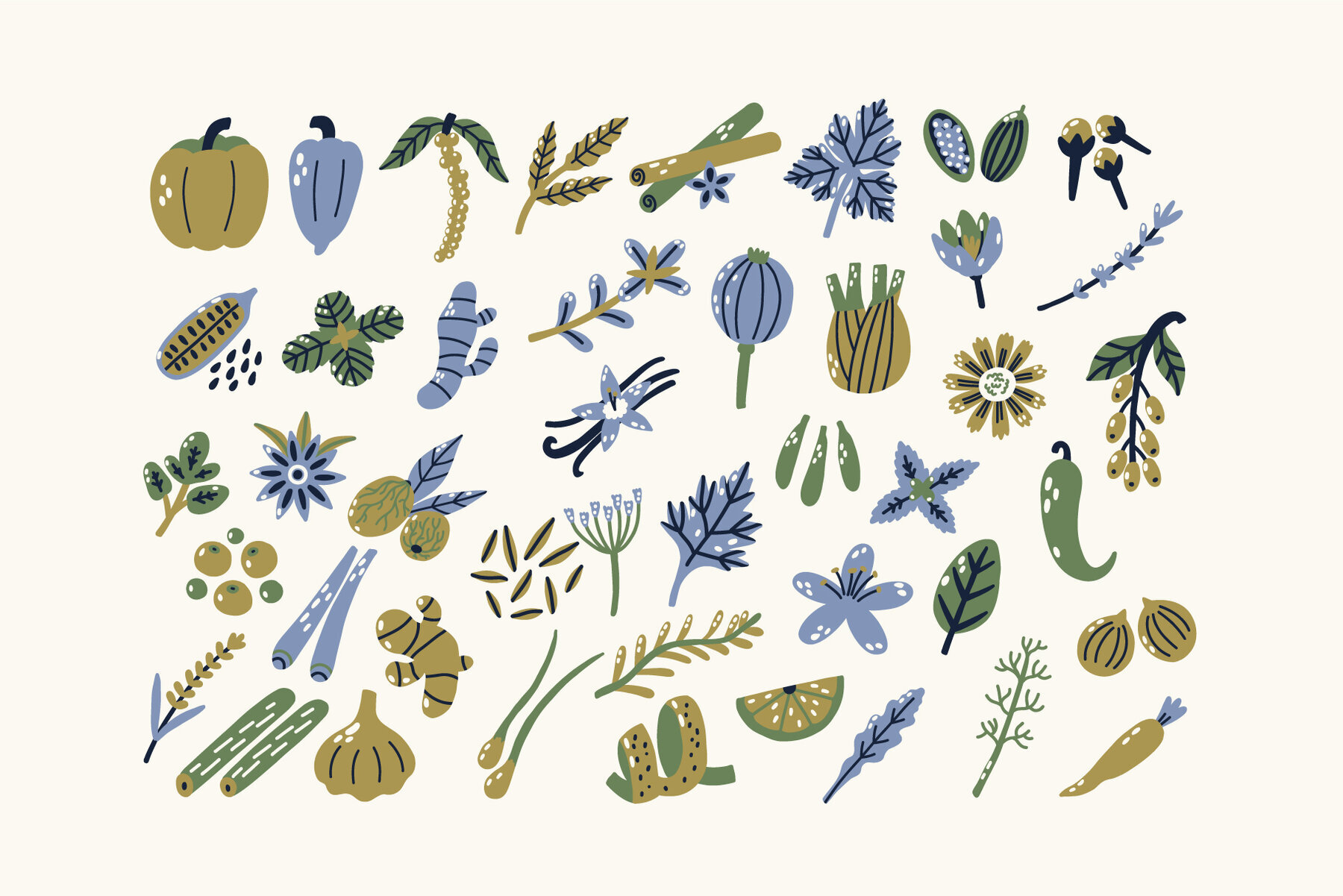 Spice and Herb vector set 2