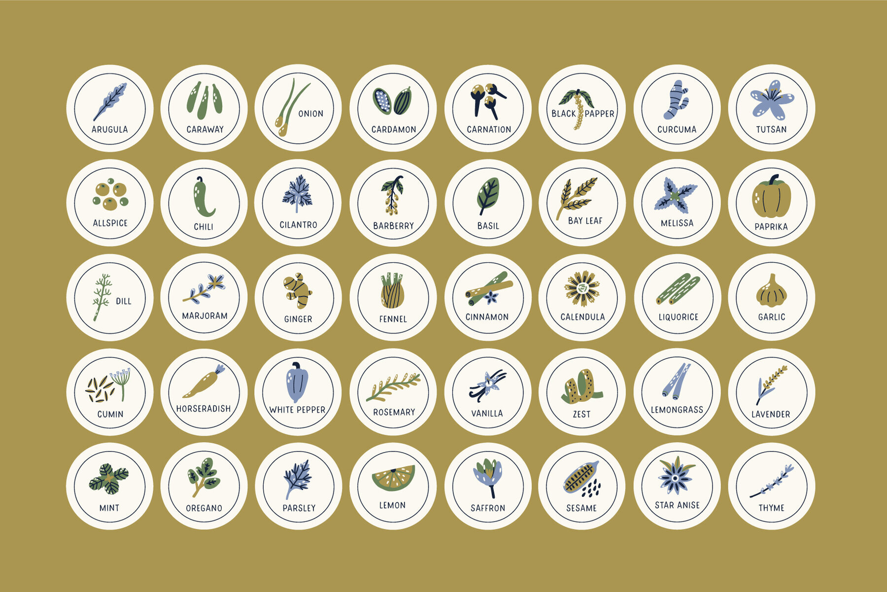 Spice and Herb vector set 3