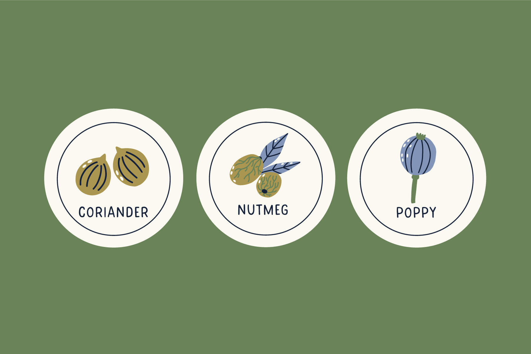 Spice and Herb vector set 4