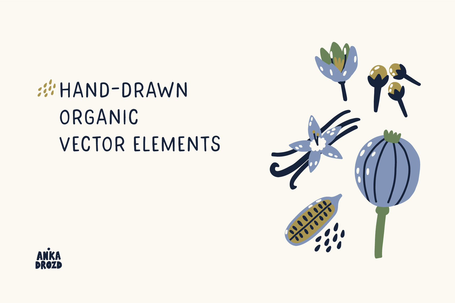 Spice and Herb vector set 5