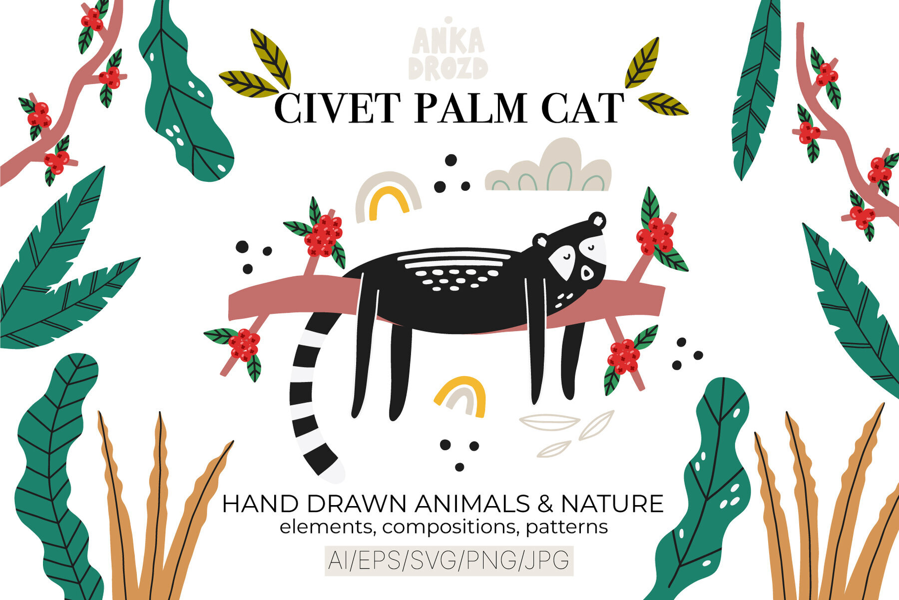 Civet Palm Cat 1