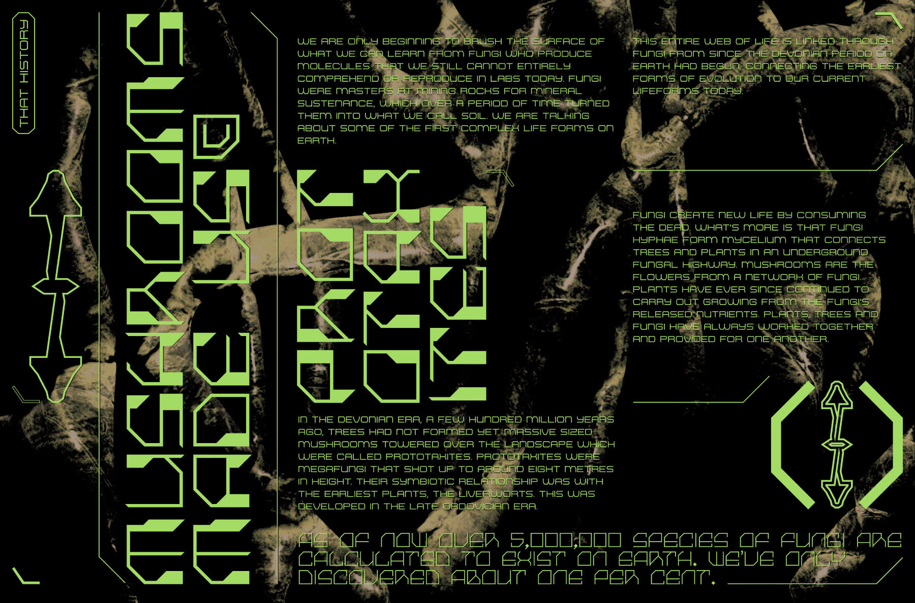 Mushrooms and Their Properties 2