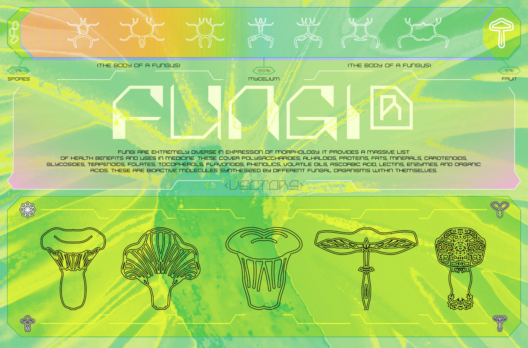 Mushrooms and Their Properties 3