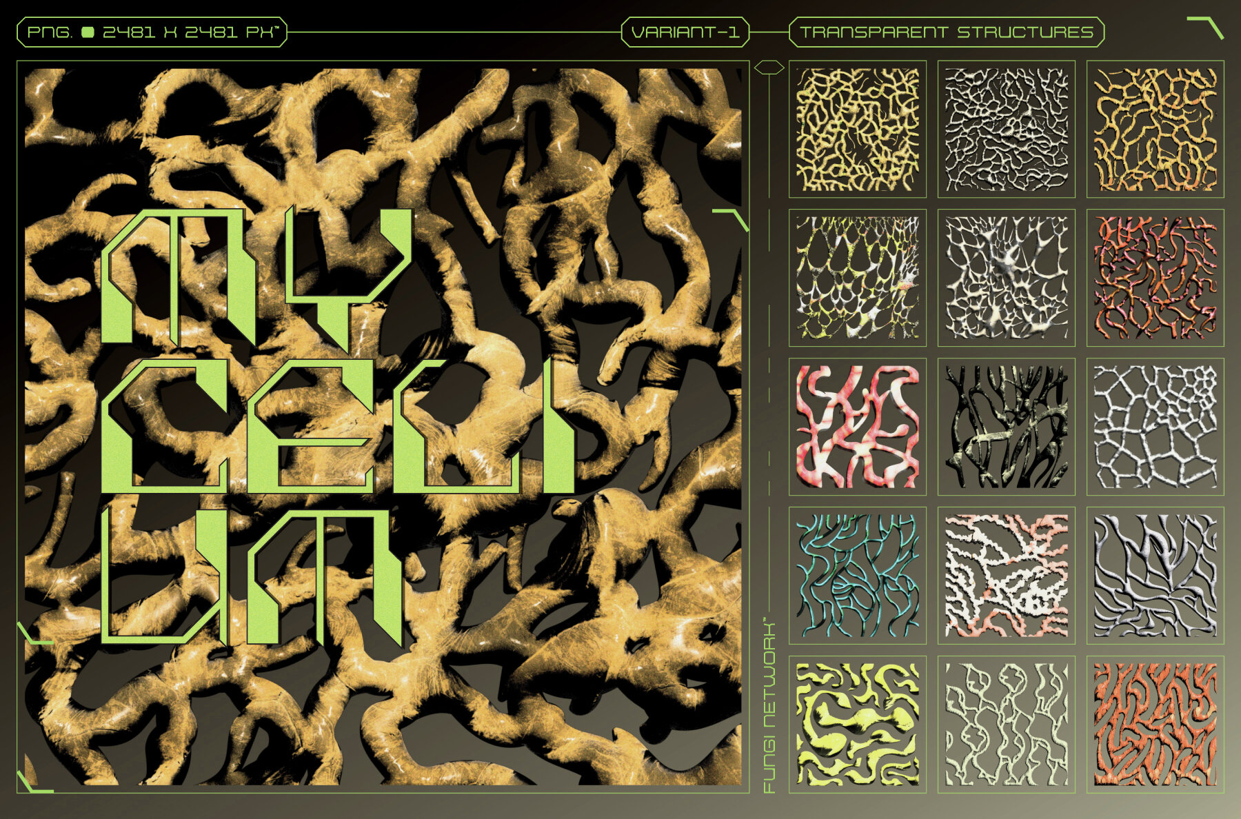 Mushrooms and Their Properties 4