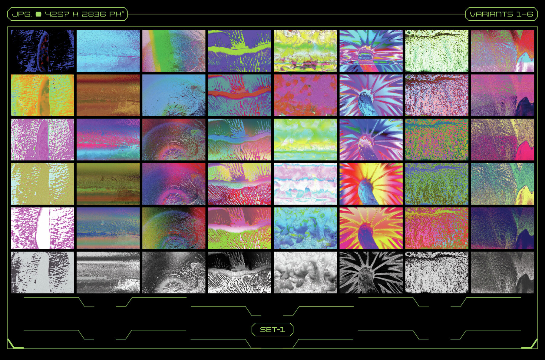 Mushrooms and Their Properties 6