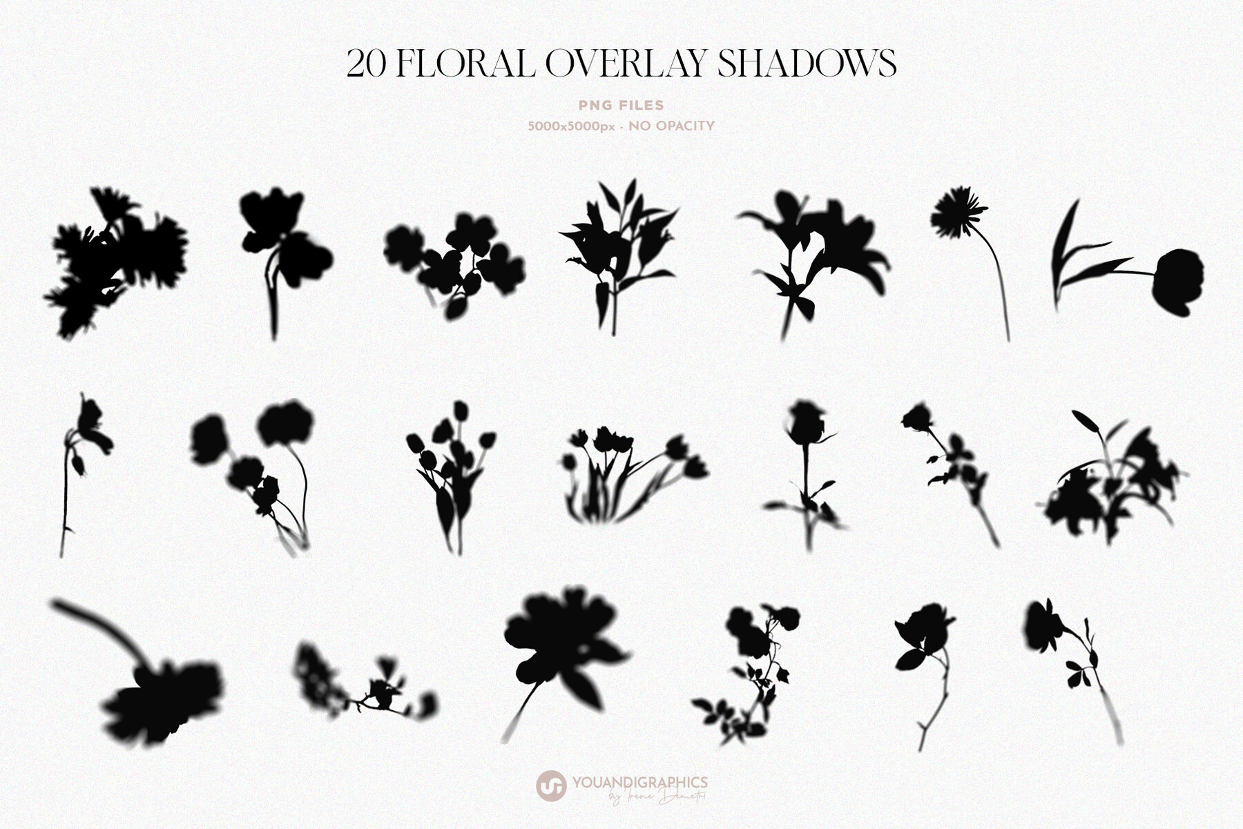 Floral Shadows Overlays 11