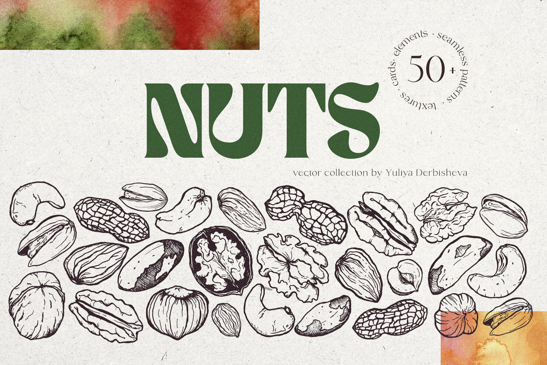 Nuts Illustrations 1