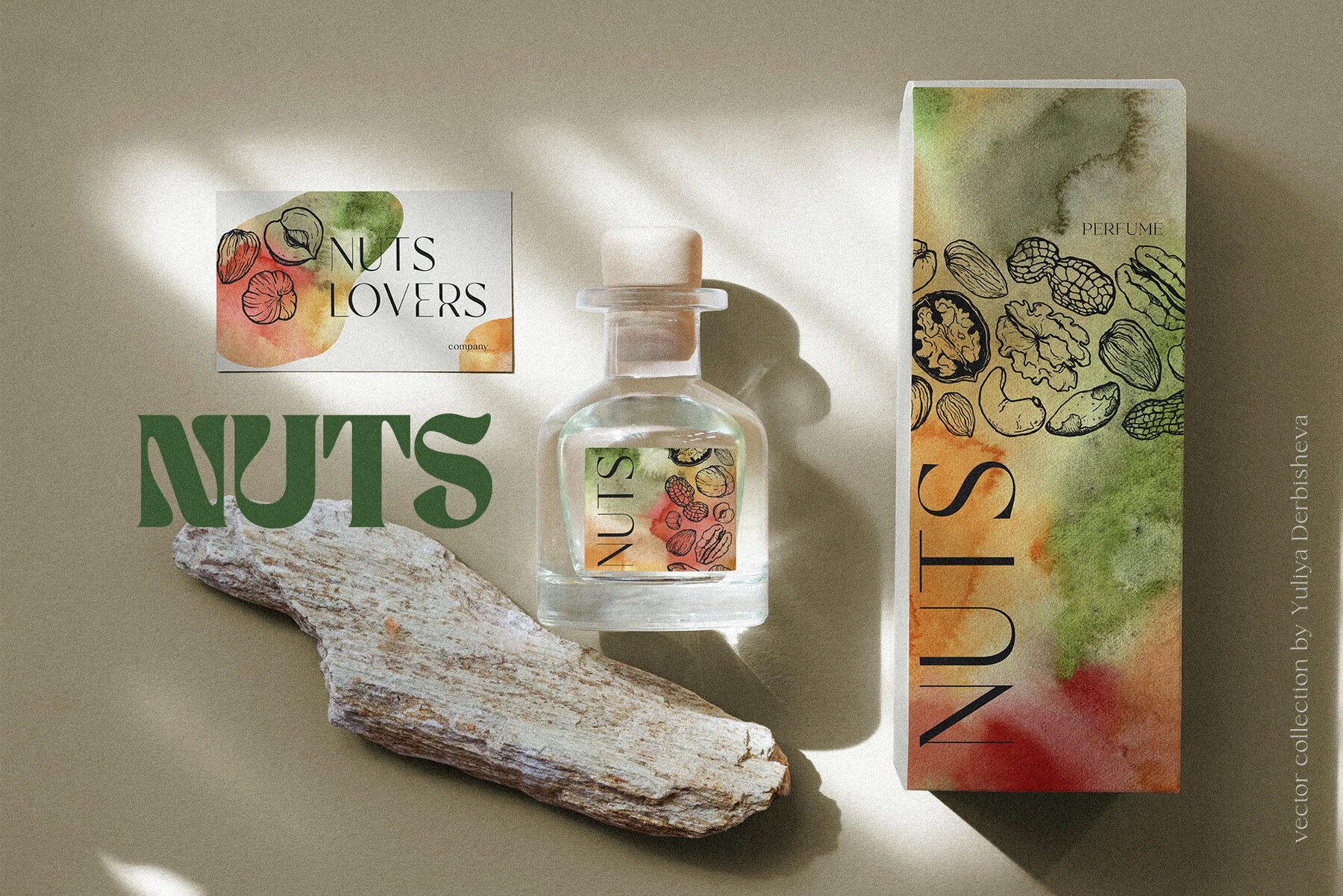 Nuts Illustrations 3