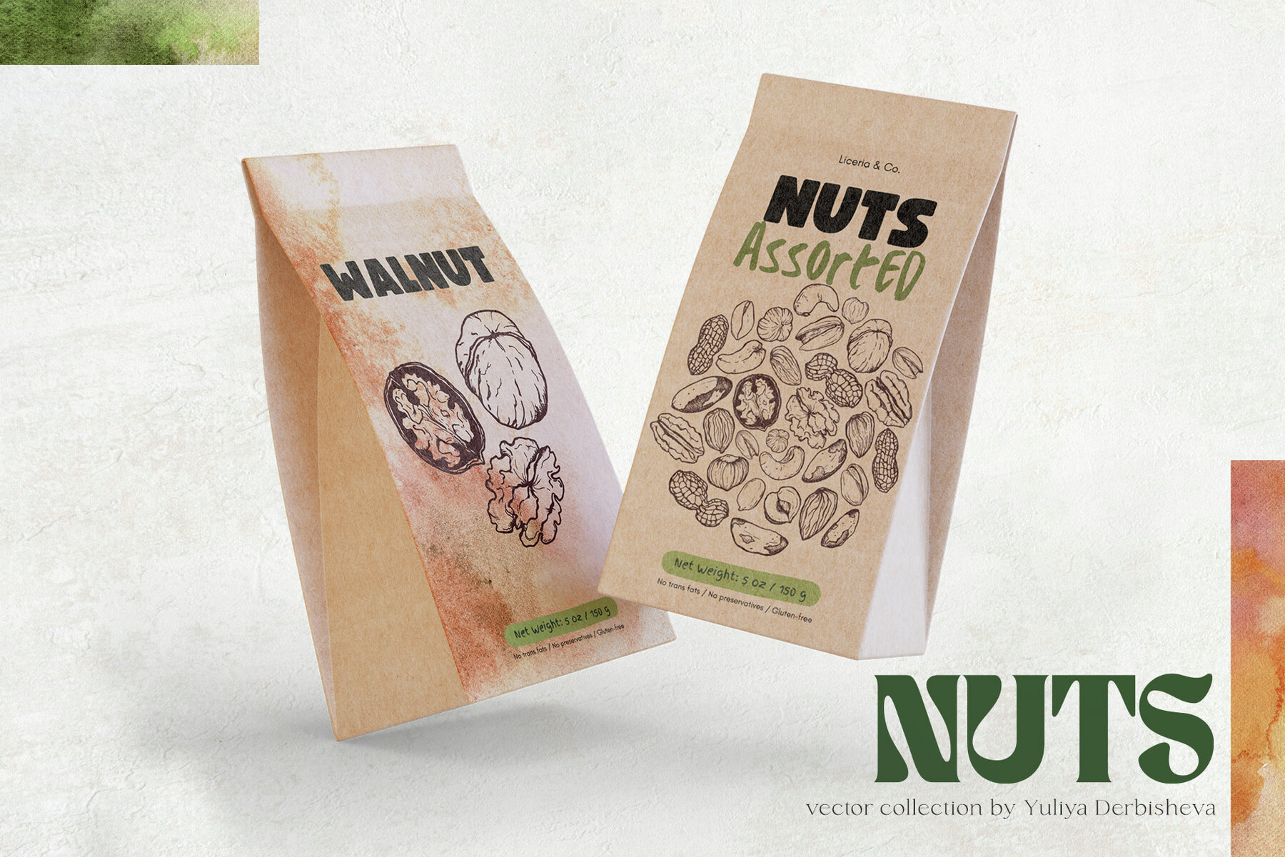 Nuts Illustrations 5