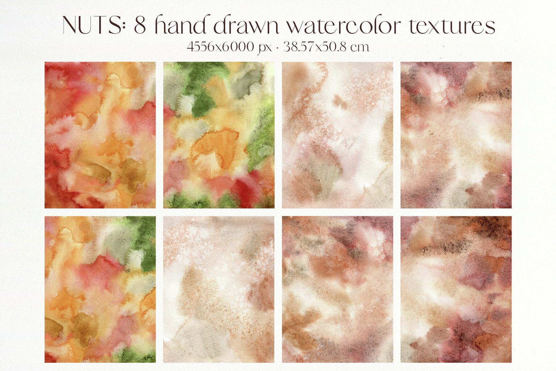 Nuts Illustrations 7