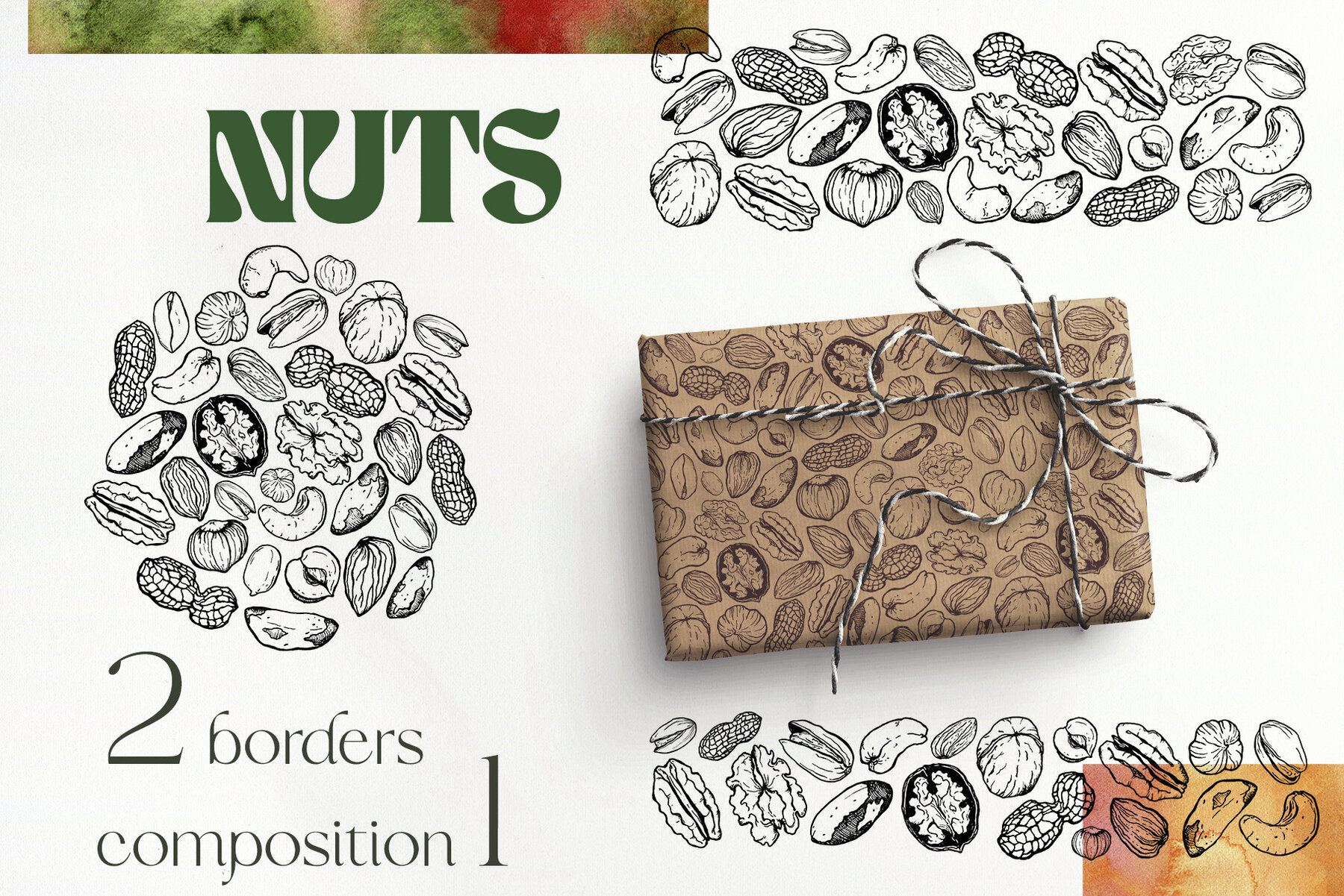 Nuts Illustrations 8