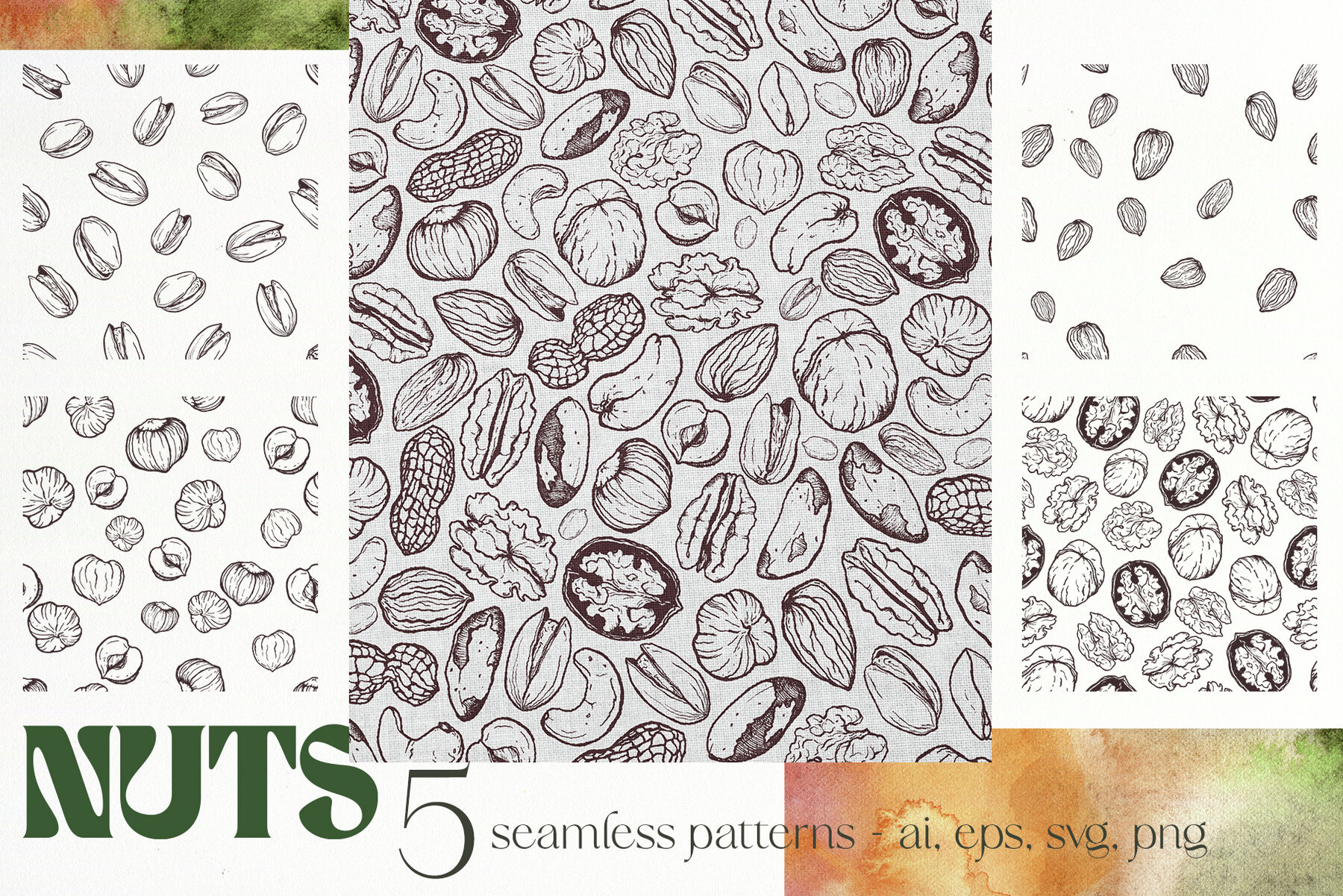 Nuts Illustrations 9