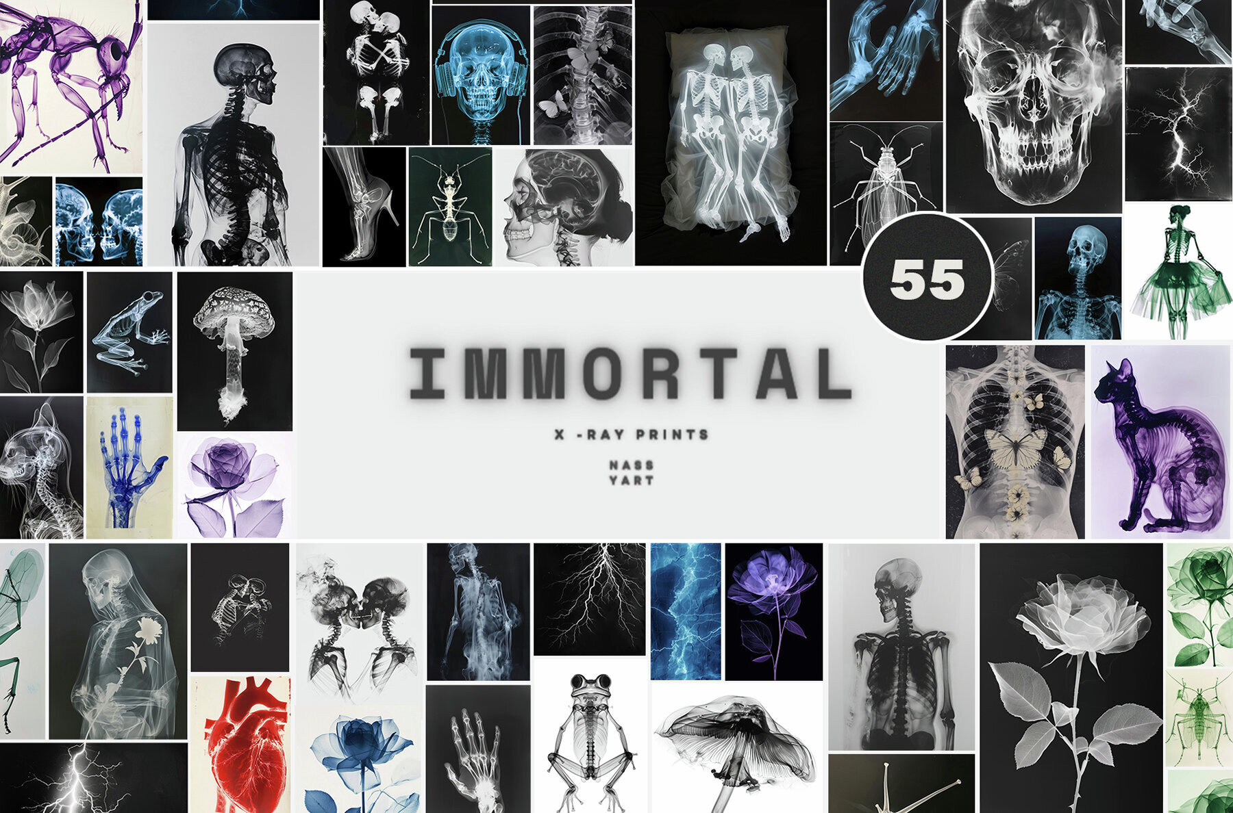 55 Immortal X ray Print Posters 1
